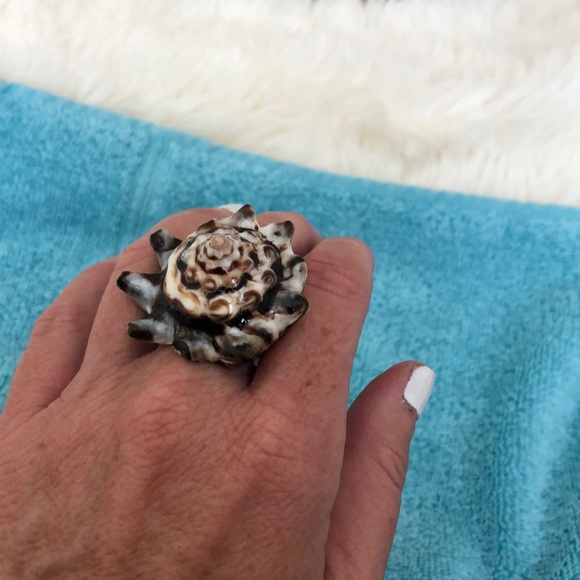 Shell Ring - Picture 2 of 7